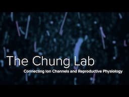 Ion Channels, Sperm Motility, & Fertility  - The Chung Lab at Yale School of Medicine