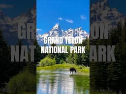 More reasons to visit Grand Teton this #summer #nationalpark #vacation #travel #outdoors #hiking #yt