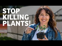 5 Mistakes People Make When Growing Seedlings