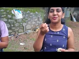Kerala and Tamil Nadu - tourism in South India