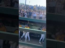Hartland stuns Macomb Dakota in extra innings to win D1 state title