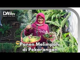Kebun Pekarangan Super Lengkap - Kebun Larasati