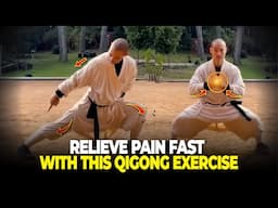 Heal Your Body: Qigong Exercise to Remove Pain Instantly  | Shi Heng Yi