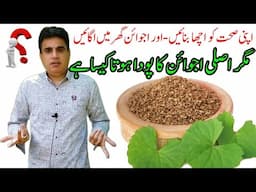 Improve your health and grow Carom at home | But what does a real Carom plant look like?