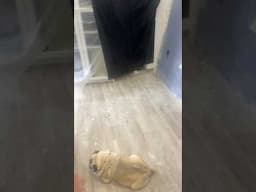No he podido grabar.. y este es el motivo