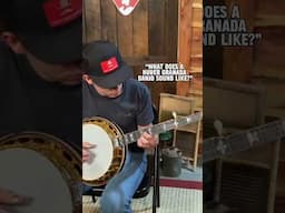 This banjo is the BEST money can buy…😱 #banjo #bluegrass