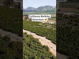 Fun and EASY Railbike Adventure in SoCal! Link in Bio 😀 #california #adventure @SunburstTrain