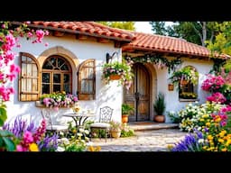 Turn a Small Corner in Front of Your House Into a Beautiful Garden Simple Ideas for Beginners!