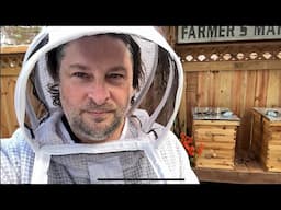 First Inspection For Queens Four Days Later ~ Honey! Pollen! Eggs! ~ how to start beekeeping ￼