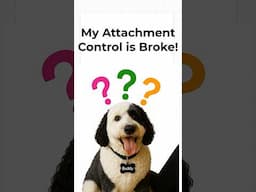 Power Apps Attachment Control is Broken! 😭  #microsoftpowerapps #tutorial