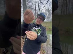 Green Worms vs. Earthworms for Fishing! #fishing #earthworms #greenworms