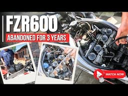 Yamaha FZR600 Left Outside for 3 Years | Forgotten Sportbike Revival!