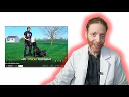 Can Jason Corey Train Two Cane Corsos? Veterinary Behaviorist Reacts