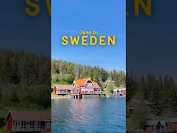 🌞 Hello, June – hello Swedish summer!✨ #Sweden #Summer