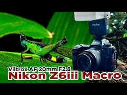 Fun day macro with Viltrox 20mm f2.8 and Nikon Z6iii