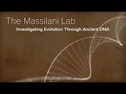 Human Evolution, Genetic Traits, & Ancient DNA - The Massilani Lab at Yale School of Medicine