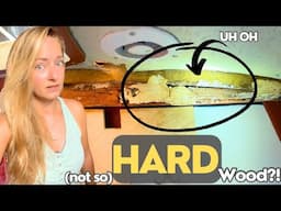 ⛵️ROTTEN sailboat MAST BEAM - now what? | Hallberg Rassy 352 | Sailing Joco