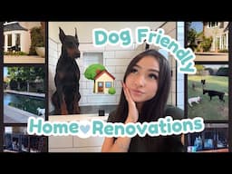 PET FRIENDLY HOME RENOVATIONS