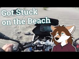 I Got My BMW 310 GS Stuck In The Sand