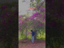 New Punjabi song 2025 ♥️ Sidhu moosewala 🕊️❣️ #nainital @prabhjot_cheema #trending