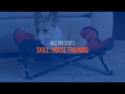 How to Potty Train Your Puppy — House Training Made Easy