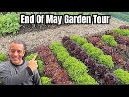 My Secret Garden Setup Revealed!