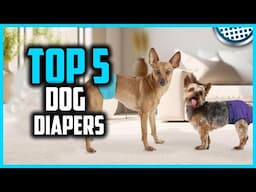 ✅Top 5 Best Dog Diapers in 2025