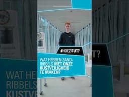 Kan zand invloed hebben op de veiligheid van onze kust #HoeZitUT?