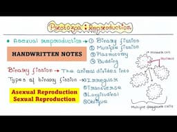 Protozoa | Reproduction | Types | Examples