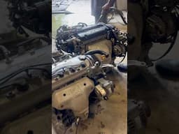 98-01 Honda Accord H22 Auto-Manual Swap coming in.