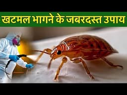 घर में खटमलों ने मचा रखा है आतंक तो इन टिप्स को ट्राई कीजिए, कम समय में मिलेगा छुटकारा