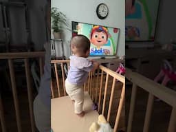 singing bub | s s s  🧦 #shorts