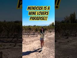 Touring the MENDOZA Wine Region (Maipu) in ARGENTINA by Bike! #argentina #mendoza #argentinatravel
