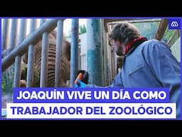 Joaquín descubre cómo es el día de un trabajador en el Zoológico Nacional | Acceso a lo Nuestro