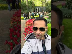 Tulip Garden Netherland @onlinestudy