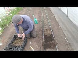 The Carrot Project Worked!