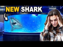 I Got A New Shark! It Did NOT Go As Planned...