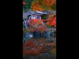 KYOTO or TOKYO: Which *Iconic* JAPANESE Destination Is Right For You?