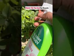 😍Best Organic Growth Booster 🌱for your plants #plantgrowthpromoter