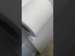 Spider on me toilet paper #comedyfilms #funny #william #violette1st #bill #food