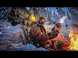 3 Days in Arctic Survival Shelter - Solo Bushcraft Camping & Lynx