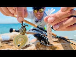 SOUTH FlORIDA SURF SIGHT FISHING w/ Crabs and Shrimp Lures For Redfish, Snook, and Sheepshead!!!