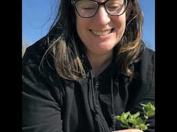 Eats Wild Episode 2: Wild food is all around us