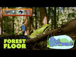 Mini Explorers | EP201 Forest Floor