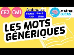 Mots génériques CE2 - CM1 - Cycle 2 et 3 - Français - Vocabulaire - Lexique