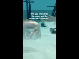 The moon and the ocean are connected! 🌕 🌊