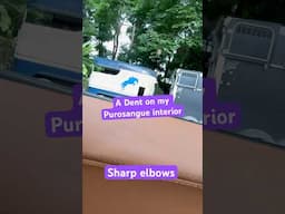 My Purosangue interior dent
