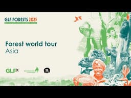 Forest world tour: Asia