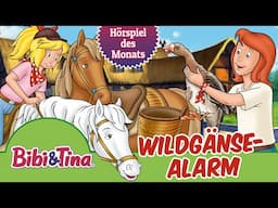 Bibi & Tina - Wildgänse-Alarm (Folge 89) | HÖRSPIEL DES MONATS APRIL