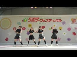 ①Dream Star  フラワーフェスティバル2025